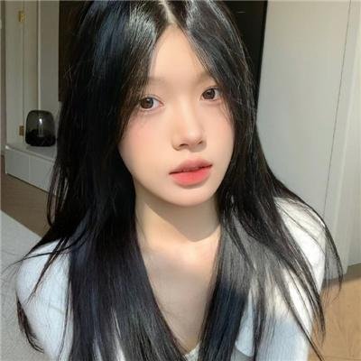 森林之北